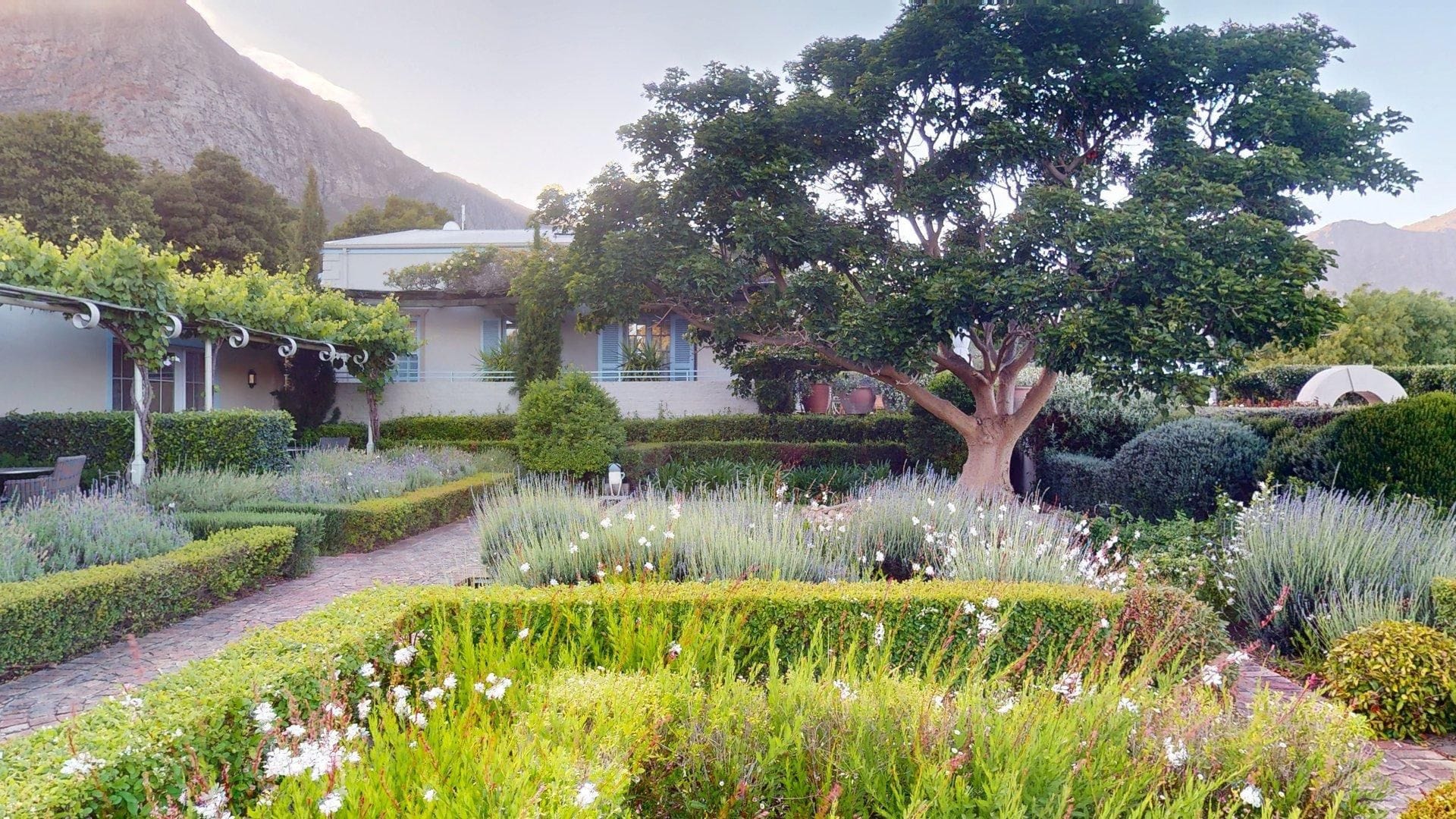 Why Autumn in Franschhoek is the Secret Season You’ve Been Missing 3 Autumn and Harvest in Franschhoek