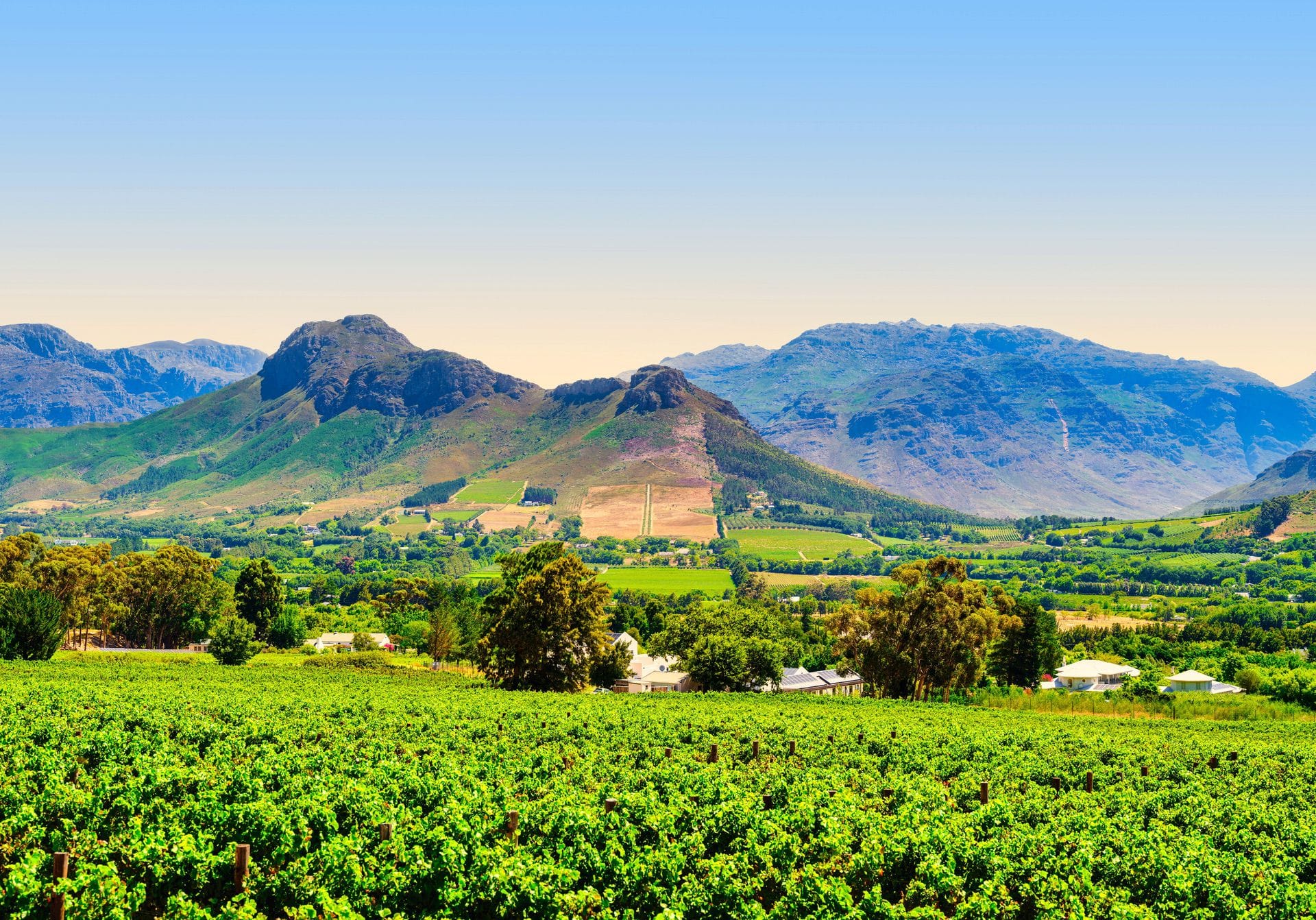 View room options at La Cabriere in Franschhoek