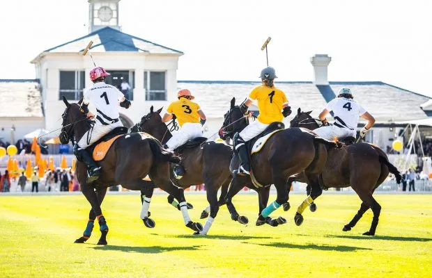 What’s On in the Cape Winelands in February 2026 5 Polo at Val de Vie