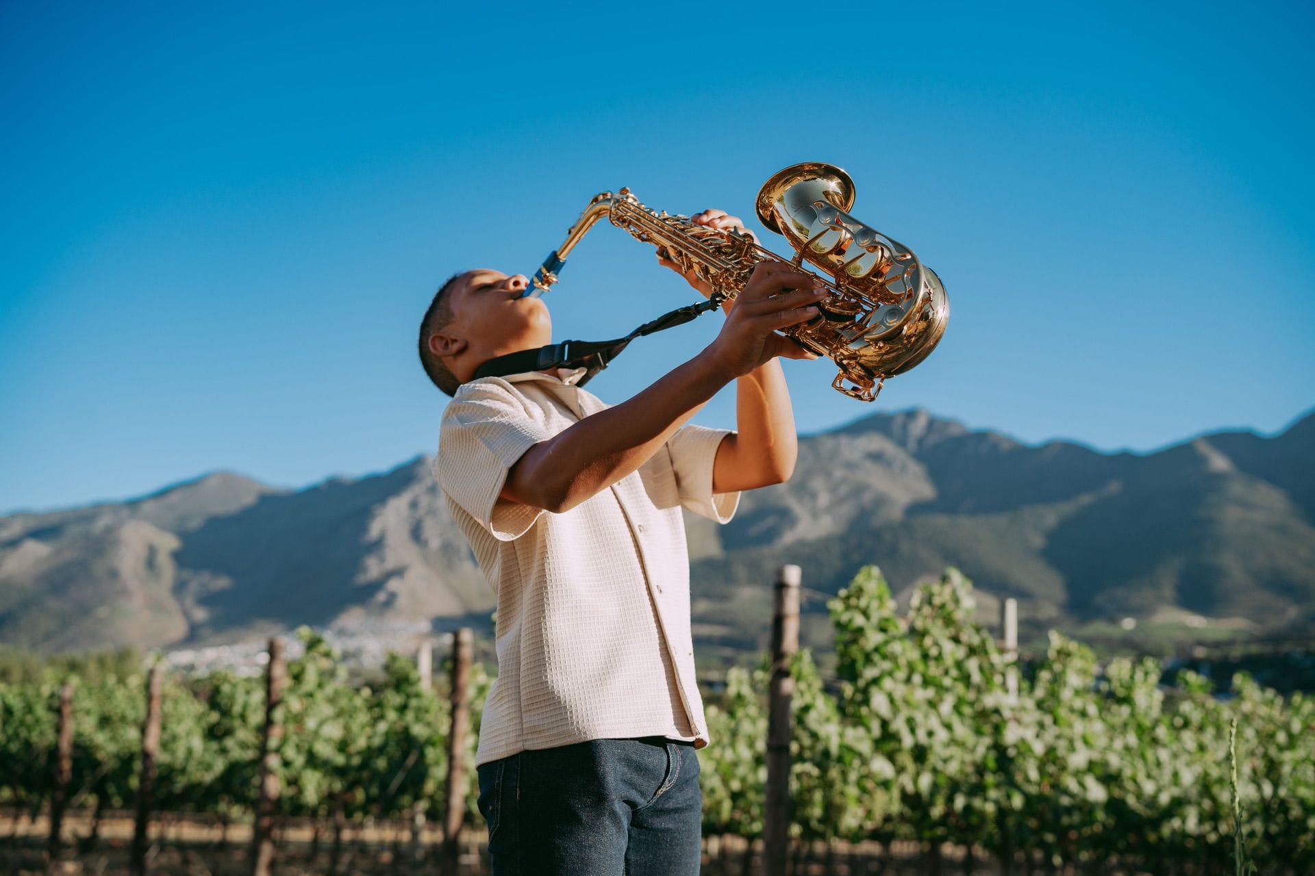 Franschhoek music festival 2026