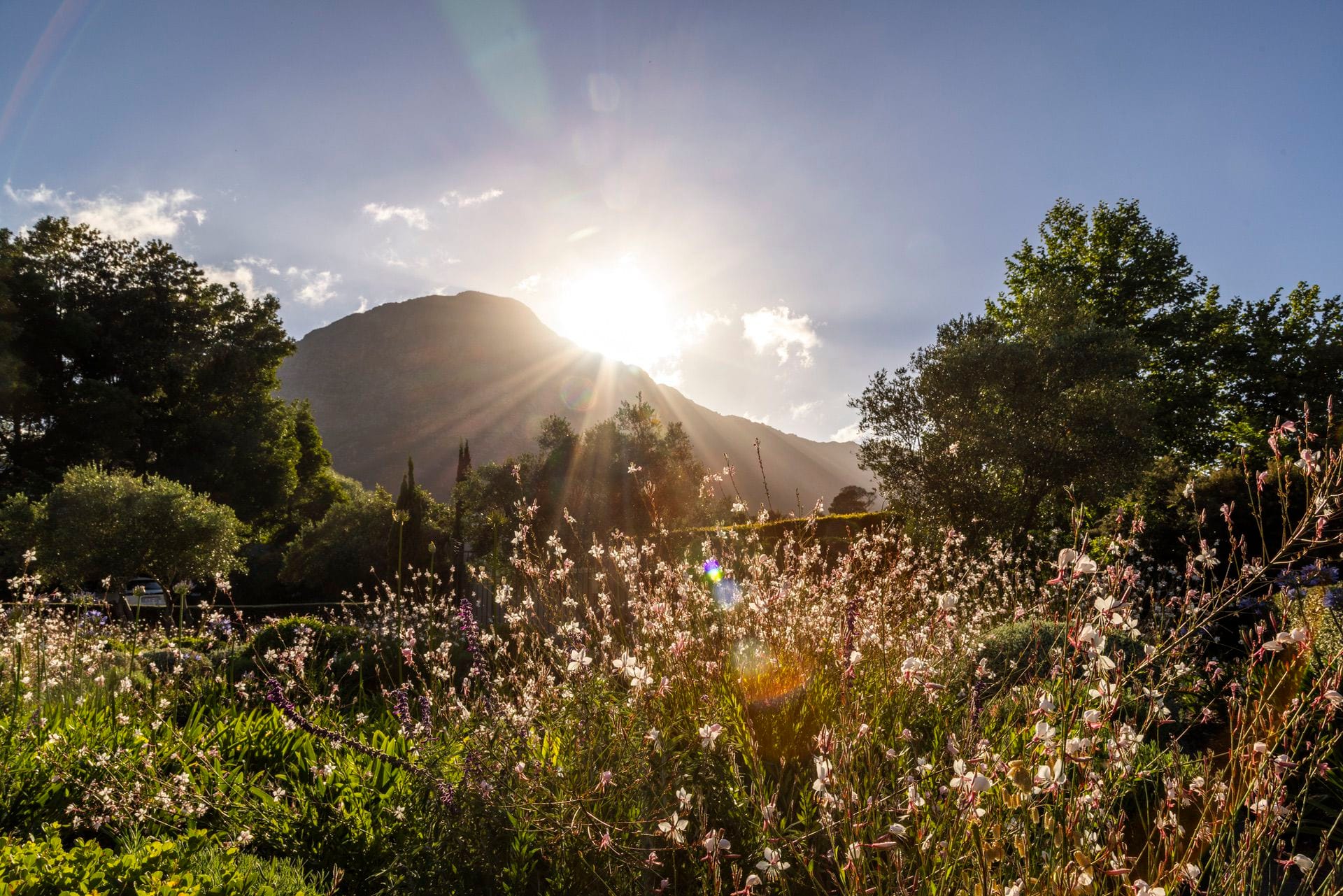 Franschhoek Mystery Weekend