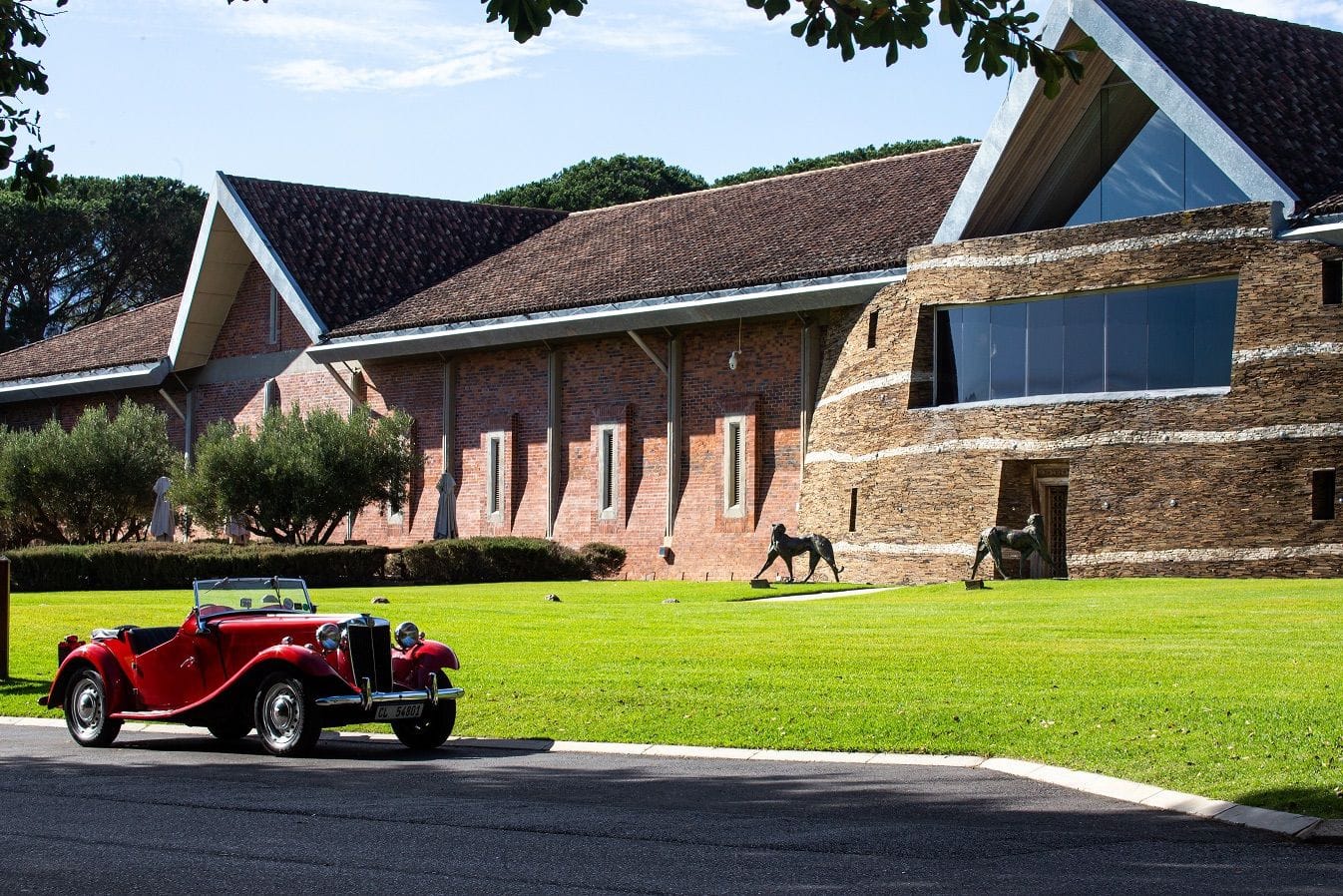 Escape the Rain: Why the Franschhoek Motor Museum is a Winter Must-Visit 1 Franschhoek in winter