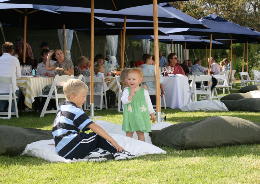 Escape the Rain: Why the Franschhoek Motor Museum is a Winter Must-Visit 4 Winter in Franschhoek, Things to Do